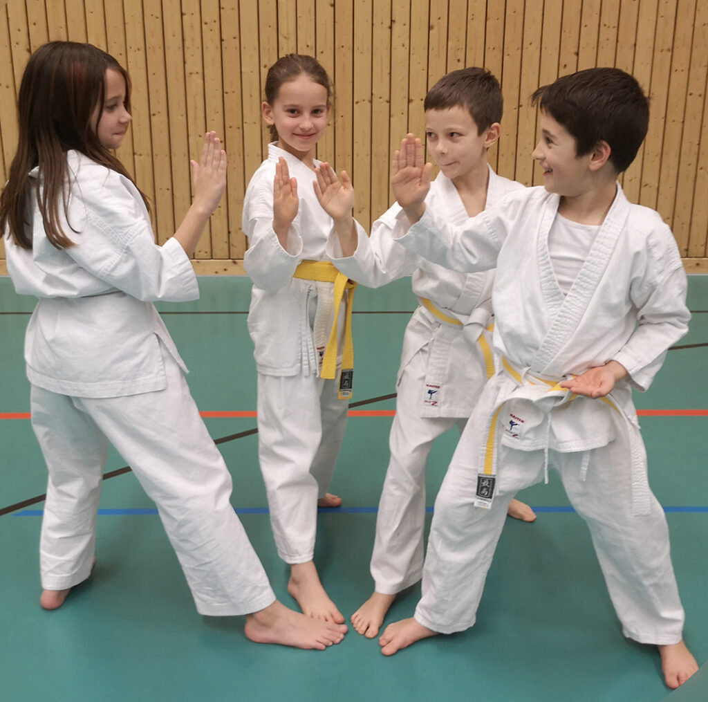 (c) Tsvkandel-karate.de